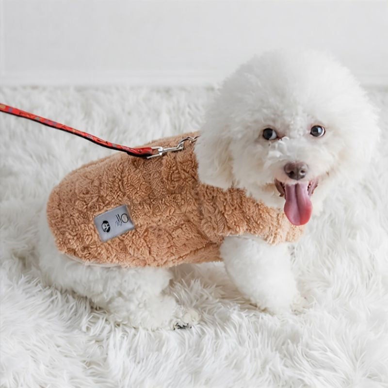 Gilet chaud pour chien