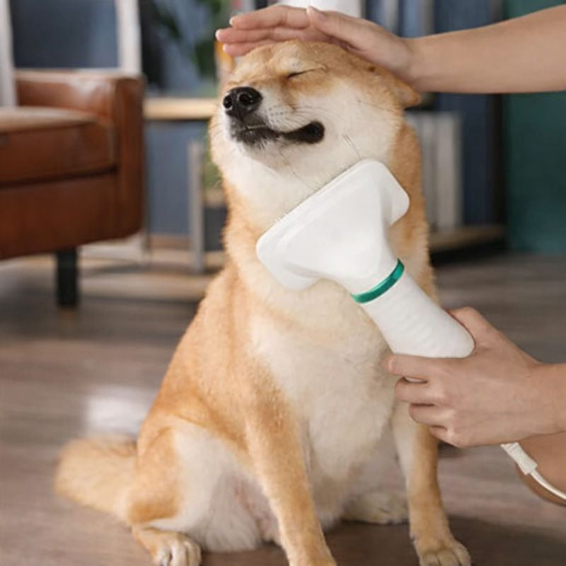 Sèche-poils avec brosse pour chien