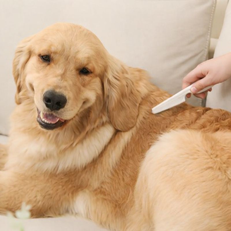Peigne à puces pour chien et chat – Dents fines