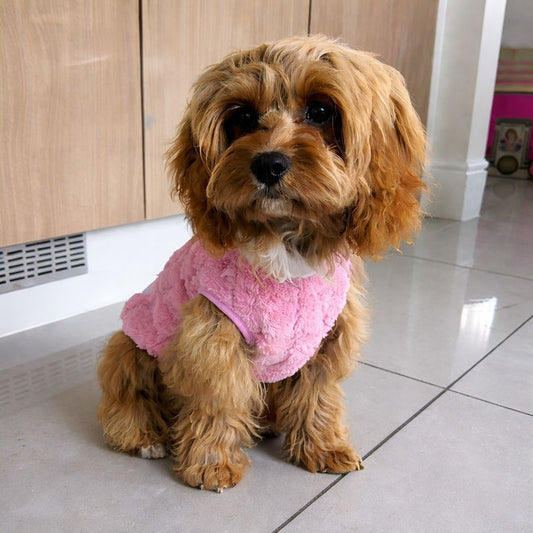 Vêtement pour chien en tissu peluche