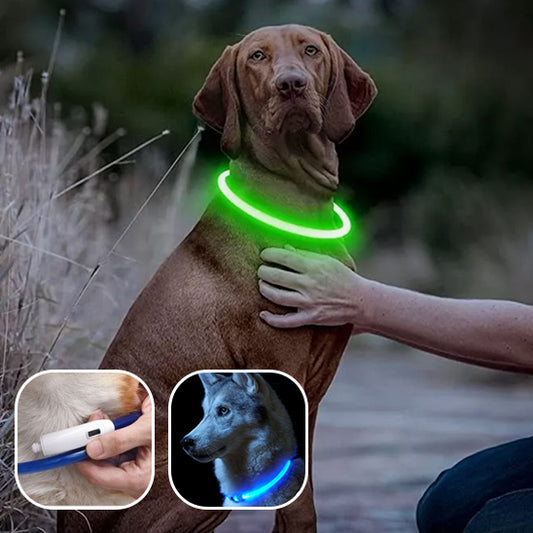 Collier lumineux rechargeable | DogCollar™