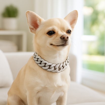 Collier pour chien design sobre