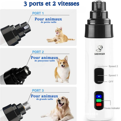 Lime-à-griffes-électrique