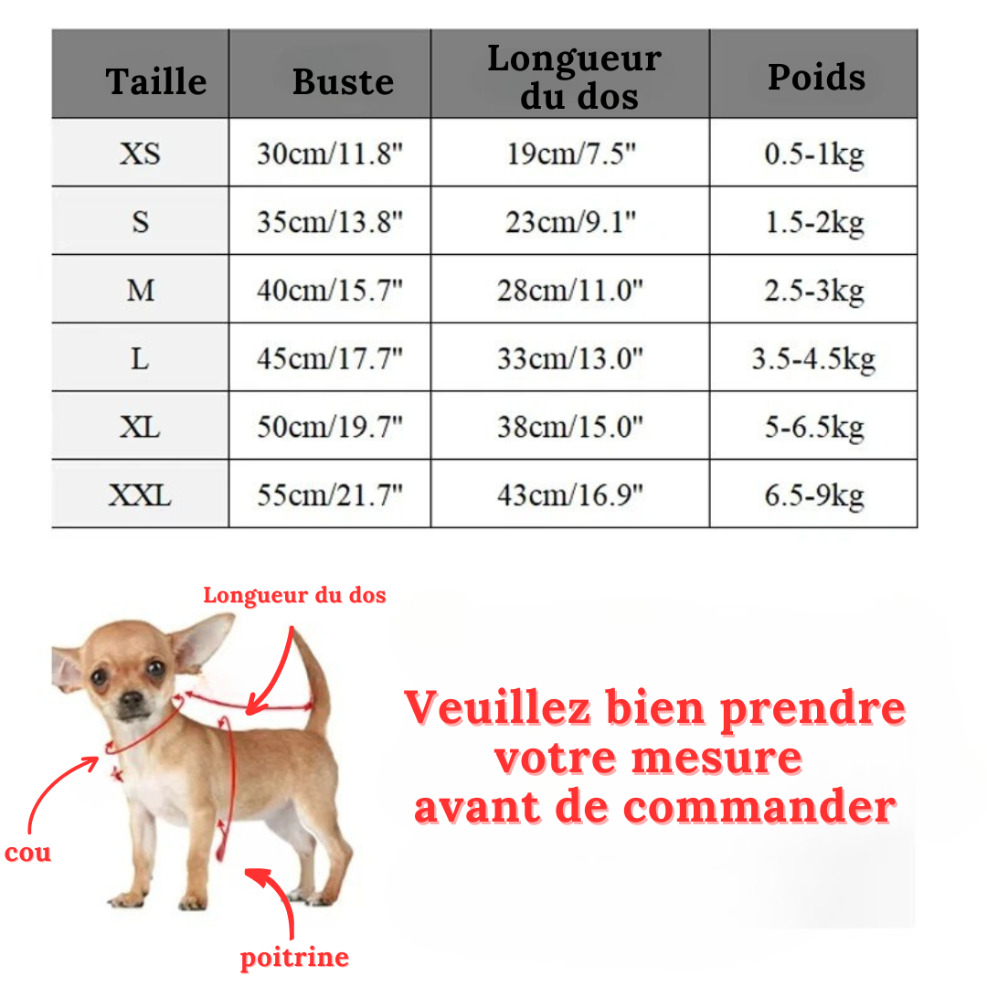 pull-pour-chien
