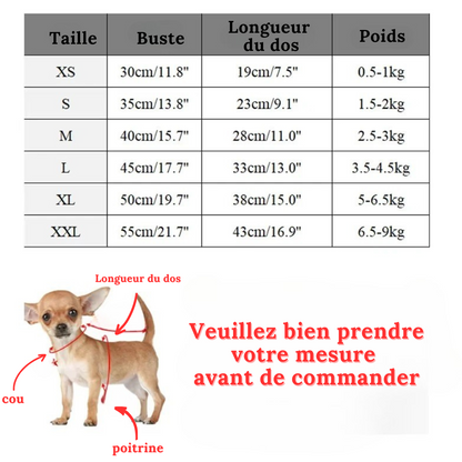 pull-pour-chien