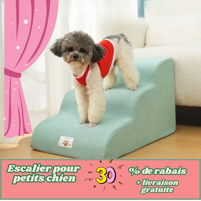 Escalier-pour-petits-chiens