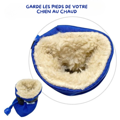 Bottes pour chiens