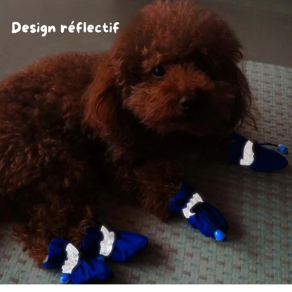 Bottes pour chiens