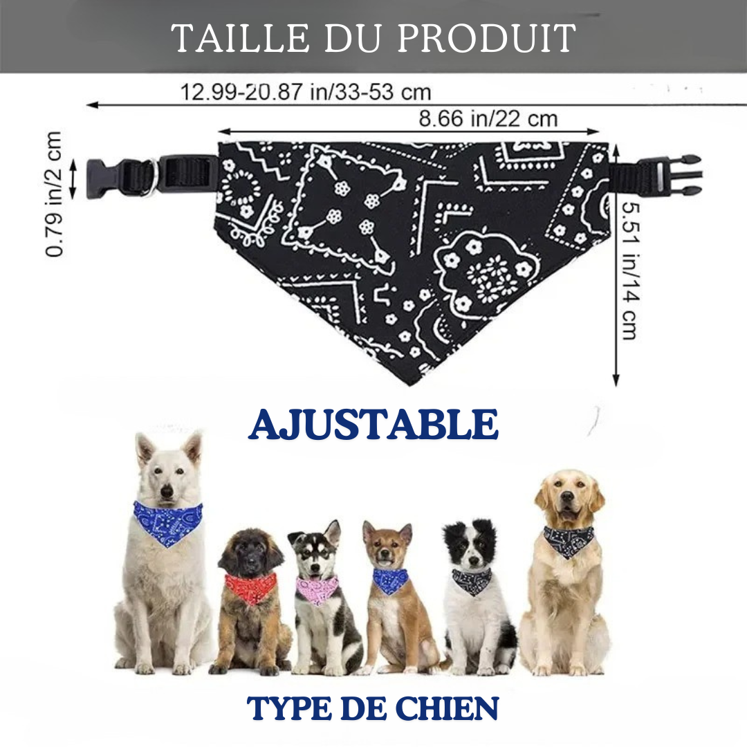 bandana-chien