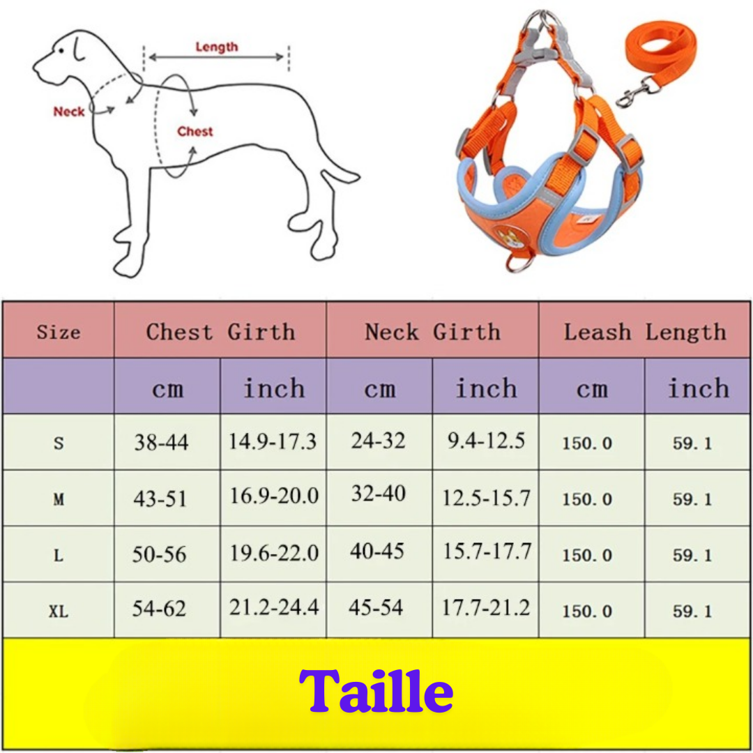 Harnais anti-traction pour chien