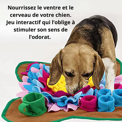 Jouet-interactifs-pour-chien