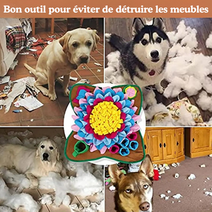 Jouet-interactifs-pour-chien