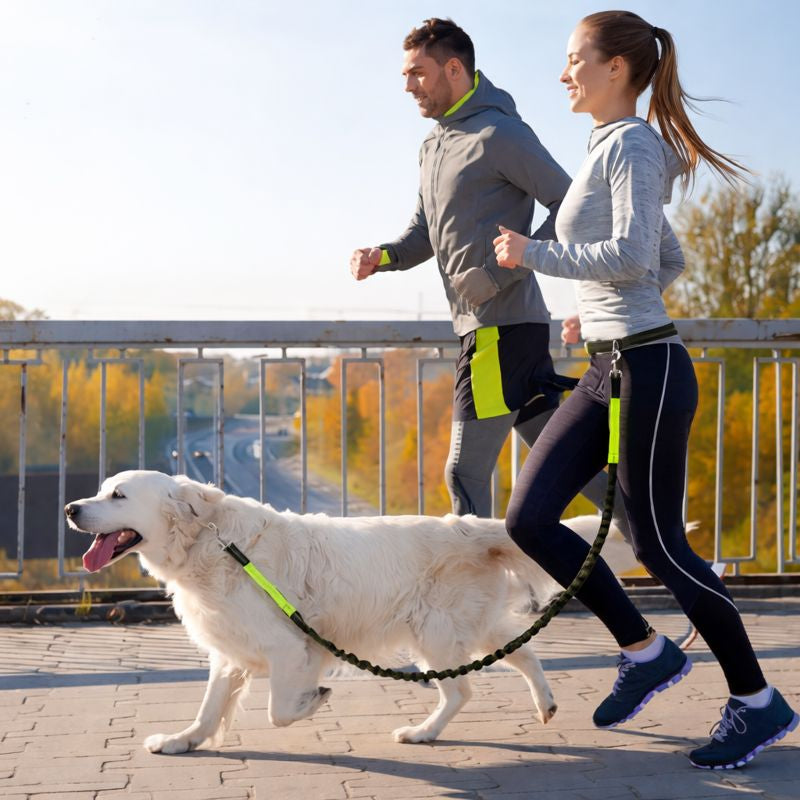 Laisse mains libres pour courir avec son chien en toute liberté.