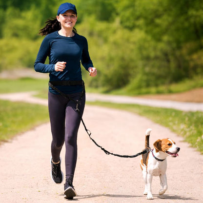 Laisse mains libres pour chien, confort et sécurité en balade.