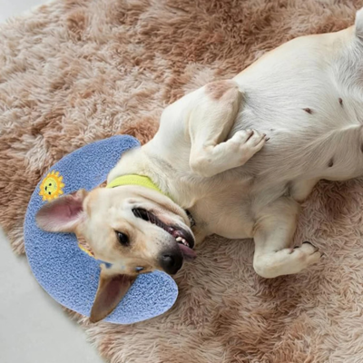 Oreiller apaisant pour chien