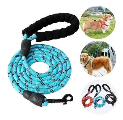 Laisse-pour-chien