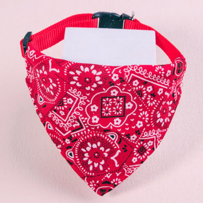 bandana-chien