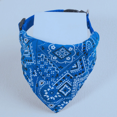 bandana-chien