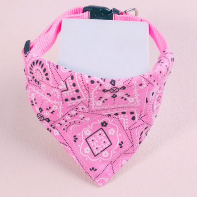 bandana-chien