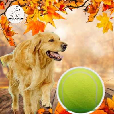 TennisBall™ | Balle de tennis géante balle de tennis Chienjoueur   