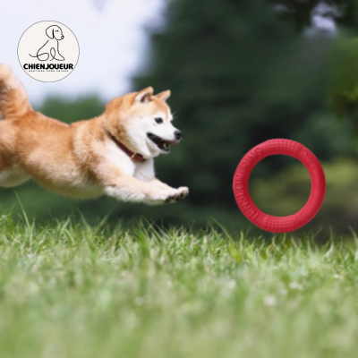 RingToys™ | Jouet interactif Jouet pour chien Chienjoueur Rouge 28cm RingToys™  🎁 Carotte peluche + Oreiller peluche + E-Book offert 🎁