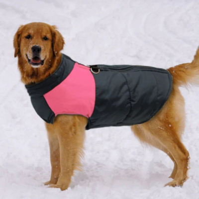 DogJacquet™ | Veste imperméable Jacket pour chien Chienjoueur   