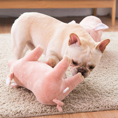 jouet-pour-chien