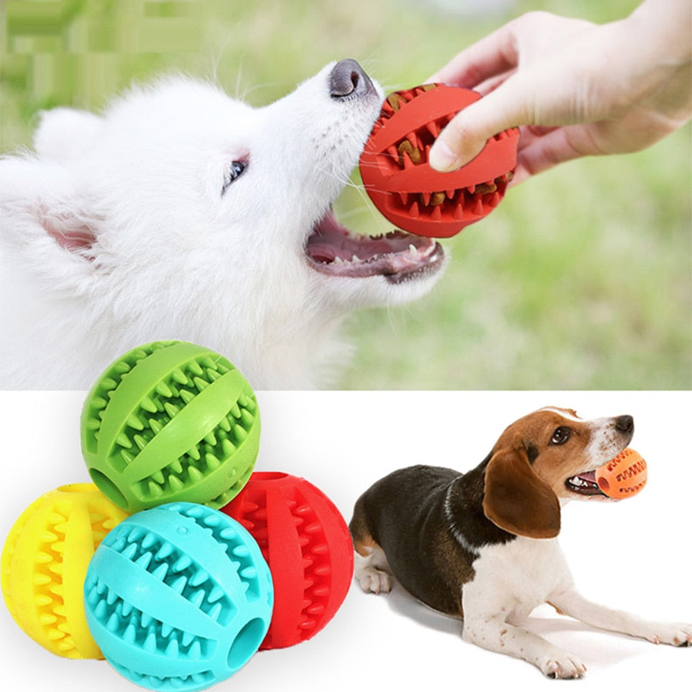 Pettooth Cleaning™ | Balle interactive chien jouet interactif chien Chienjoueur   