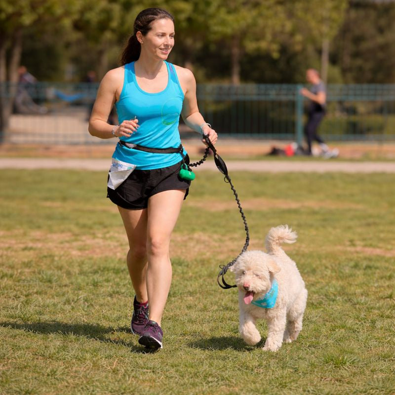 Course à pied avec chien équipé d’une laisse mains libres.