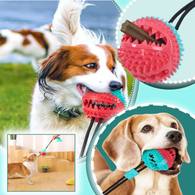 FunnyToys™ | Balle interactive à ventouse Jouet pour chien Chienjoueur   