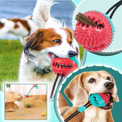 balle-pour-chien