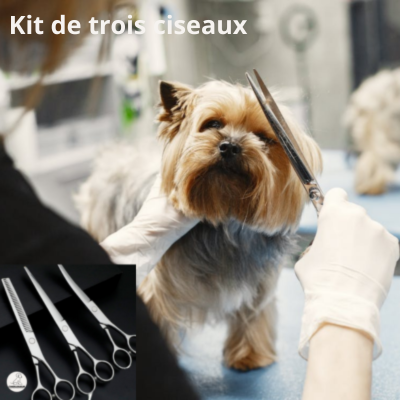 DogScissors™ | Kit de trois ciseaux toilettage ciseau toilettage chien Chienjoueur   