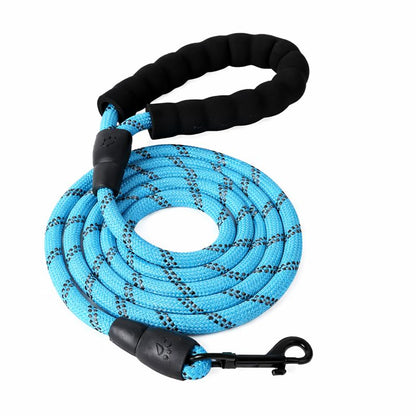 Laisse pour chien en extérieur avec attache solide.