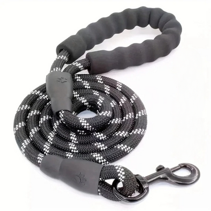 Laisse pour chien