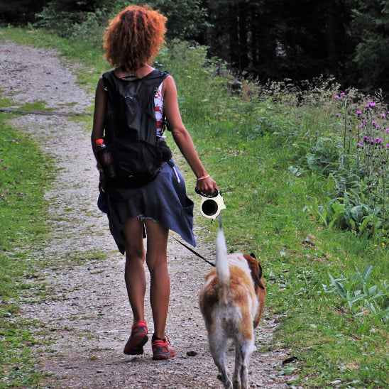 Laisse rétractable pour chien avec éclairage, balade sécurisée.