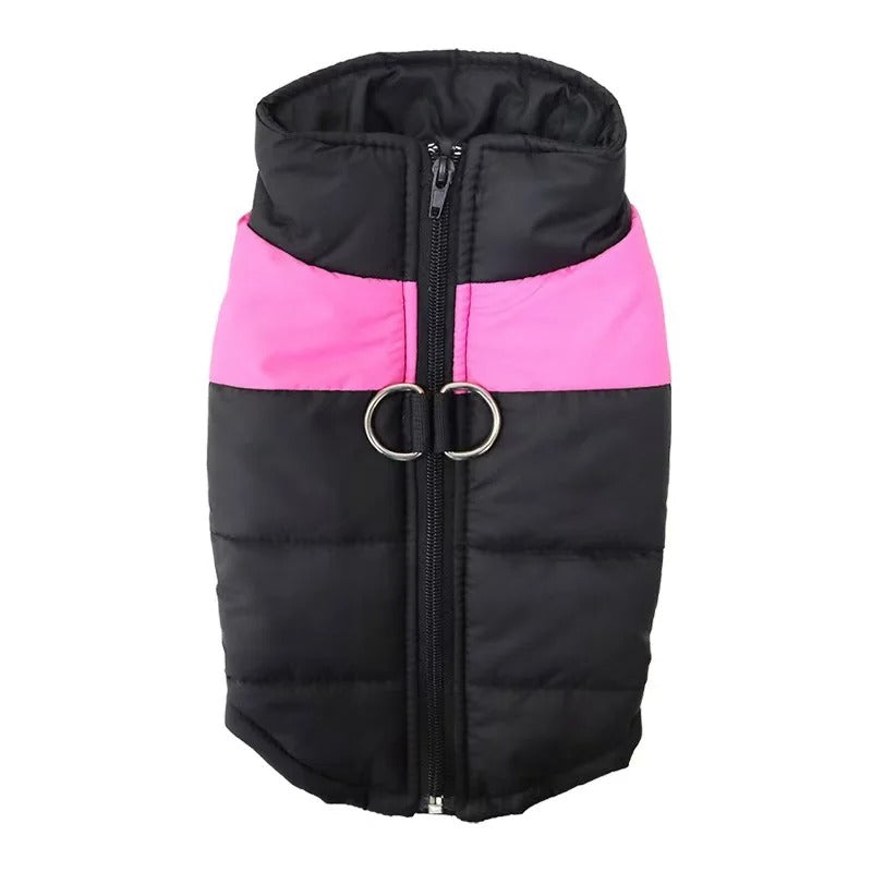 Veste protectrice pour chien contre le froid