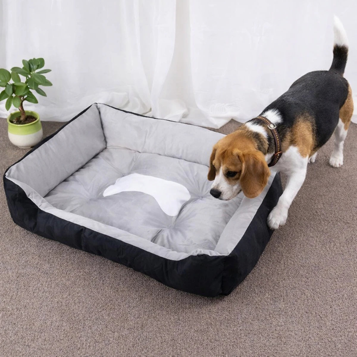 Chien s’approchant d’un panier pour chien gris confortable