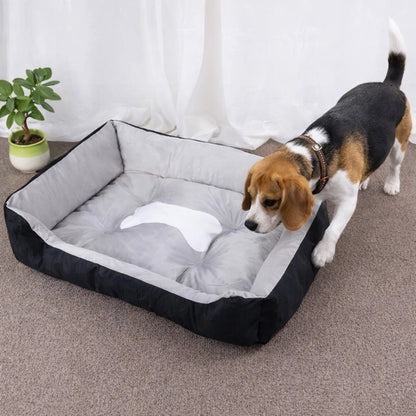 Chien s’approchant d’un panier pour chien gris confortable