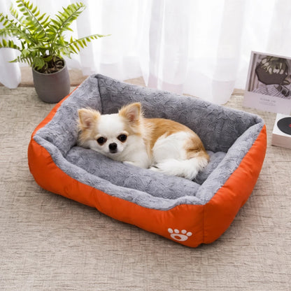 Petit chien allongé dans un panier pour chien orange