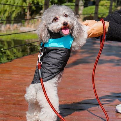 Manteau pour chien confortable et sécurisé avec laisse