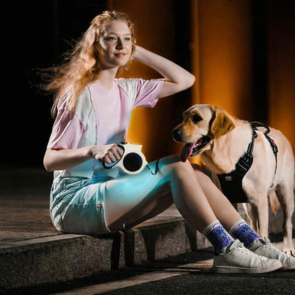 Laisse pour chien avec éclairage intégré, longueur 5 mètres.