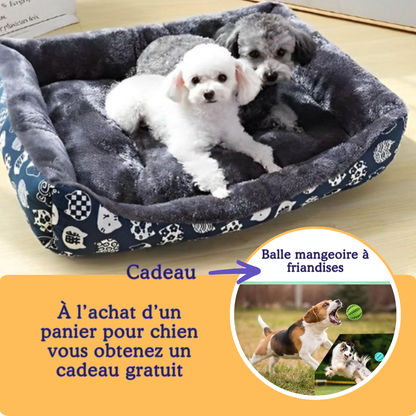 panier-pour-chien