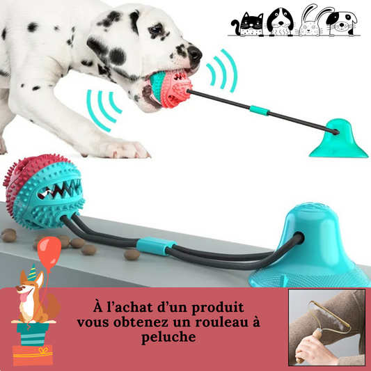 FunnyToys™ | Balle interactive à ventouse Jouet pour chien Chienjoueur Turquoise FunnyToys™ + 1 Rouleau à peluche + Livraison Offerte 