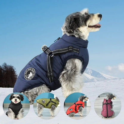 Chien portant un manteau d’hiver bleu avec harnais intégré – Protection chaude et imperméable pour chien