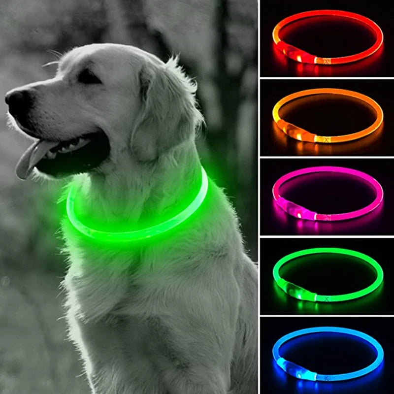 Collier lumineux rechargeable | DogCollar™