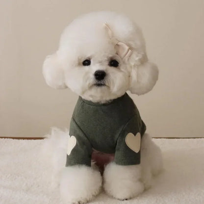 Vêtements-pour-chiens
