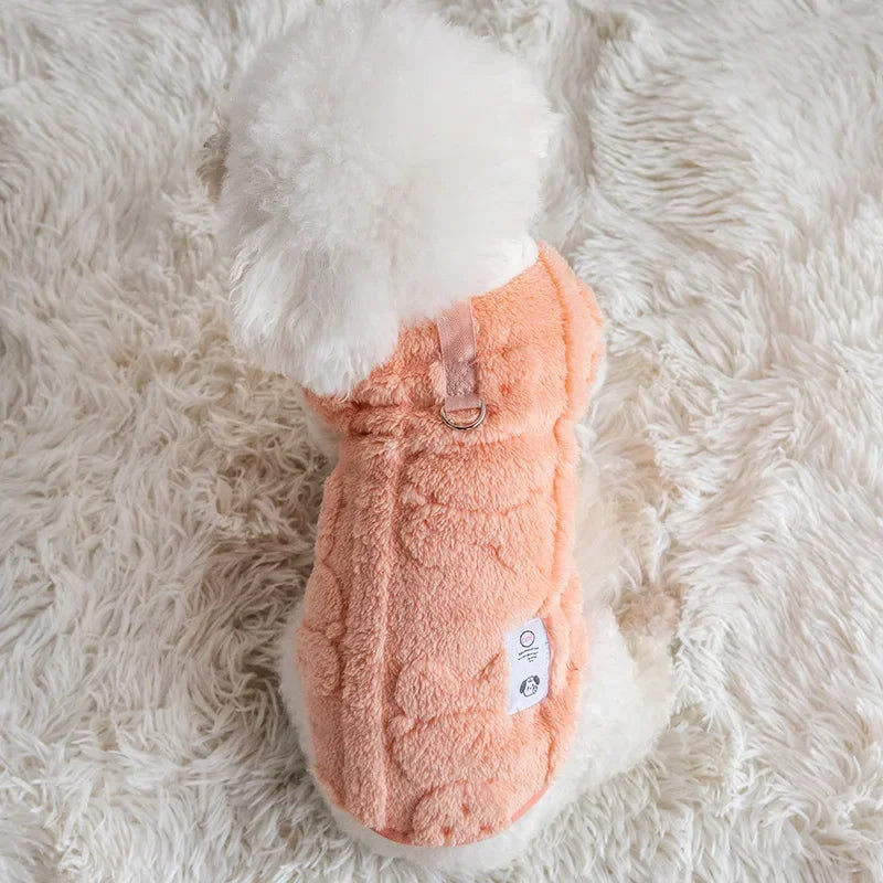 pull-pour-chien