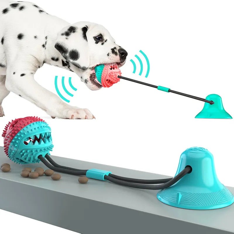 FunnyToys™ | Balle interactive à ventouse Jouet pour chien Chienjoueur   