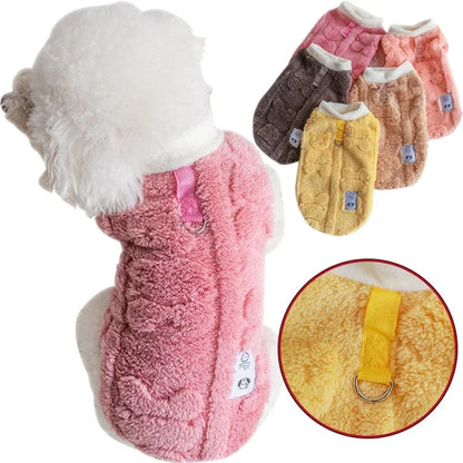 pull-pour-chien