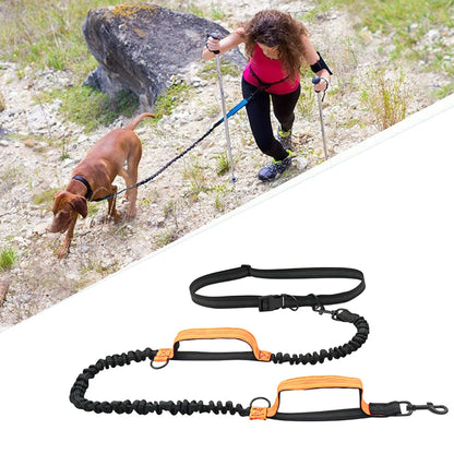 Laisse mains libres orange pour chien – liberté de mouvement et contrôle optimal